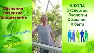Желаете зарабатывать в интернете? Школа 