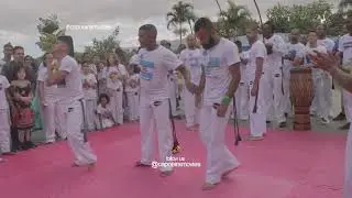 JOGOS ECOLÓGICOS 🔥