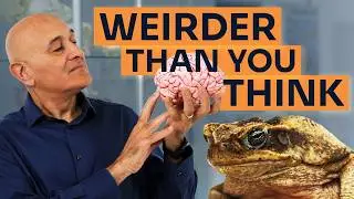 Why Evolution Split Your Brain In Half – Brain Asymmetry with Jim Al-Khalili