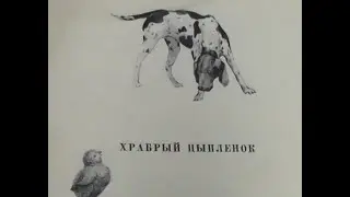 Борис Емельянов. Храбрый цыпленок.