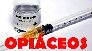 Entendiendo las drogas: Efectos de los opiáceos (morfina, codeína…) [NUEVA VERSIÓN]