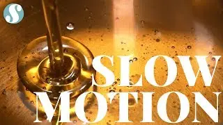 Food In Motion