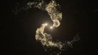 Cinematic Wedding Intro Video Effects without Text