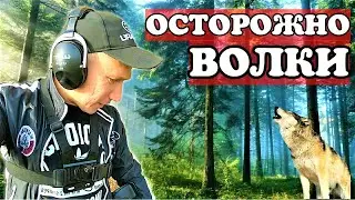 КОПАЕМ В ВОЛЧЬЕЙ СТОЛОВОЙ. ПОИСК С МЕТАЛЛОИСКАТЕЛЕМ 2020