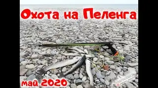 100% Подводная охота  Майский ПЕЛЕНГ 2020 Spearfishing in the Black