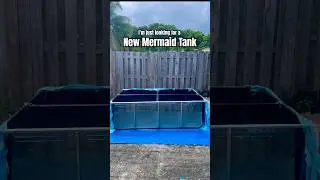 New mermaid tank! 😱 I can’t wait to swim in my transparent pool! #mermaid #mermaidtail #h2o #pool