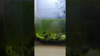 2 ноября 2023 г.
