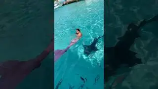 Shark in the water! 🧜🏼‍♀️ would you be smiling, too? 