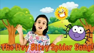 Itsy Bitsy Spider | Fun Nursery Rhymes for Kids & Toddlers!