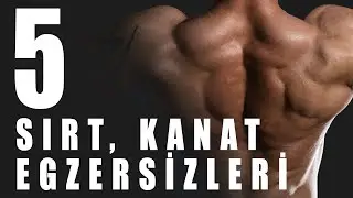 SIRT, KANAT KASI NASIL YAPILIR / 5 En Etkili sırt kanat egzersizleri