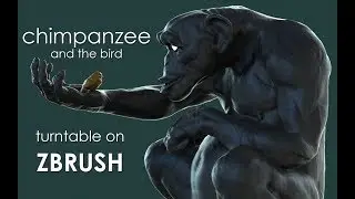 Chimpanzee Model 3D for study