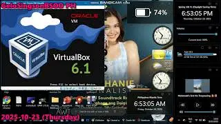 Mcdonald's End No Trespassing has BSOD VM (Windows XP)