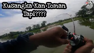 Toman Menyambar,Tapi Yang Naik ?(EP048)