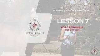 Johanna Ullstrom Masterclass - Lesson 7