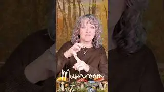 How To Sign Mushroom #autumnvocabulary #autumn #asl #learntosign #signwithme #onefactasl #mushroom