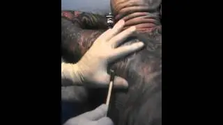 www.magnumtattoo.ru