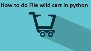 How to do File wild card in python(glob)