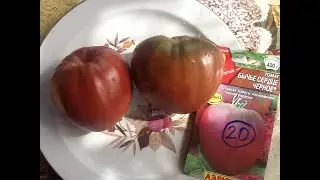 Томат "Бычье сердце черное". Дегустация
