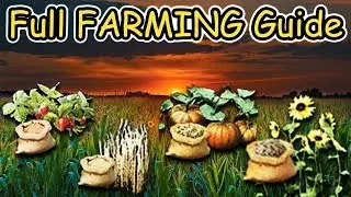 Artisan FARMING in 1 Day | FULL Farming Guide (Black Desert Online)