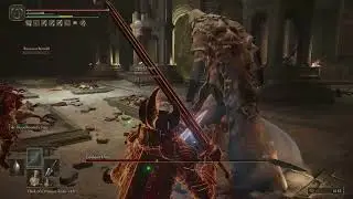 Elden Ring GodskinDuo Victory