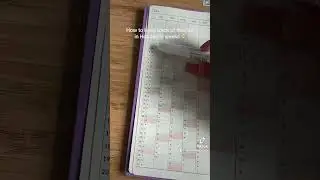 Track Your Finances Like a Pro with Hobonichi Weeks