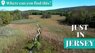 The Appalachian Trail unveils N.J.'s epic and unexpected side