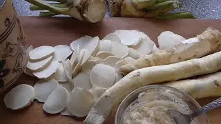 Horseradish. How to make horseradish powder. Preparing horseradish for the winter.