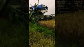 #dhaan cutter #machine🌾🌾 #harvester🚜🚜