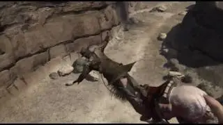 Crazy Cowboy Ballerina Horses