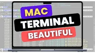 HOW To Make Your Mac Terminal Amazing