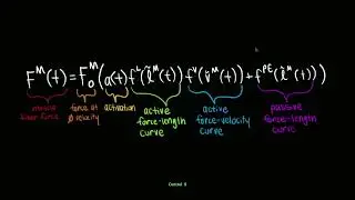 Isometric Length Tension Relationships