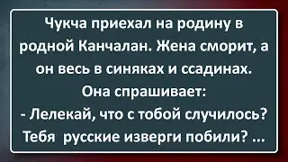 Чукча в Родном Канчалане! Сборник Изумрудных Анекдотов №147