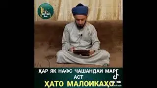 27 января 2021 г.