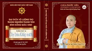 NI SƯ THÍCH NỮ NHƯ NGUYỆT - THUYẾT GIẢNG KINH VÔ LƯỢNG THỌ, PHẨM THỨ 14 "CÂY BÁU KHẮP NƯỚC"
