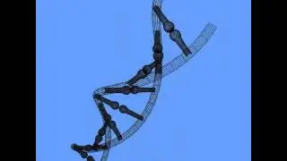 DNA 3D model from CGTrader.com