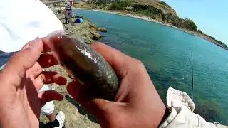 Balıq Ovu 2021- Şıxov. Рыбалка в Шихове 2021🐟
