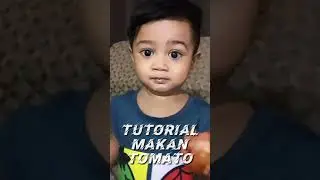Tutorial Makan Tomato