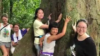 Orion Retreat Centre, Koh Samui   waterfall adventure