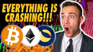 The Top Crypto Bear Market Strategy! (How Low Will BTC Go?)