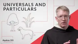 Universals and Particulars, Genus and Species (Aquinas 101)