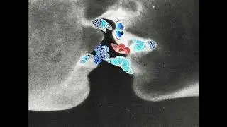Don Toliver x Gunna Type Beat ~ Butterflies Pt 2.