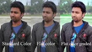 what is log or flat color profile