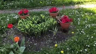 Лето в усадьбе 