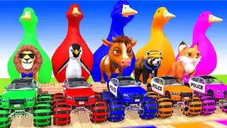 Paint & Animals Duck,Gorilla,Lion,Elephant,Cow,Sheep Fountain Crossing Transformation Animal Cartoon
