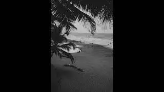 (FREE) Gunna x Young Thug Type Beat 
