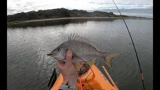 Bream Fishing on the Fitzroy river, Victoria