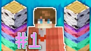 I am #1 in birch wood on Hypixel Skyblock