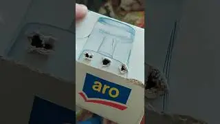 Распаковка новенького самца!