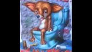 funny mexican pictures