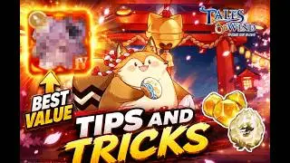 The Ultimate Shell Event Guide| Tales Of Wind Radiant Rebirth